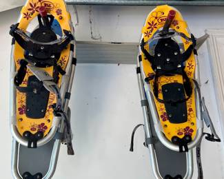 Snow Shoes