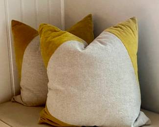 (2) West Elm Down Pillows