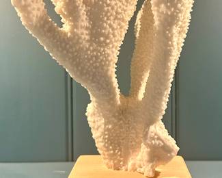 Coral Decor