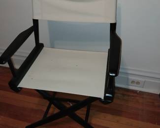 Director chair