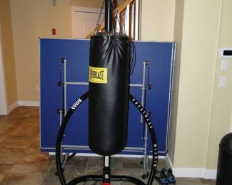 Everlast MMA Punch Bag