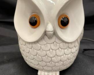 KeyEntre Smart Home Guard Owl