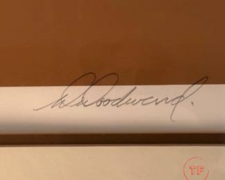 Signed Limited Edition Serigraph "Desert View" by WARREN WOODWARD