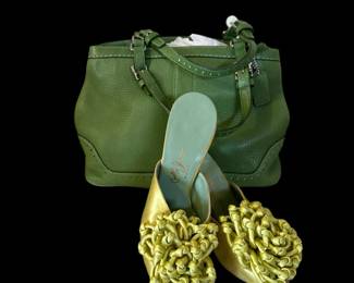 Designer Shoes and Handbag