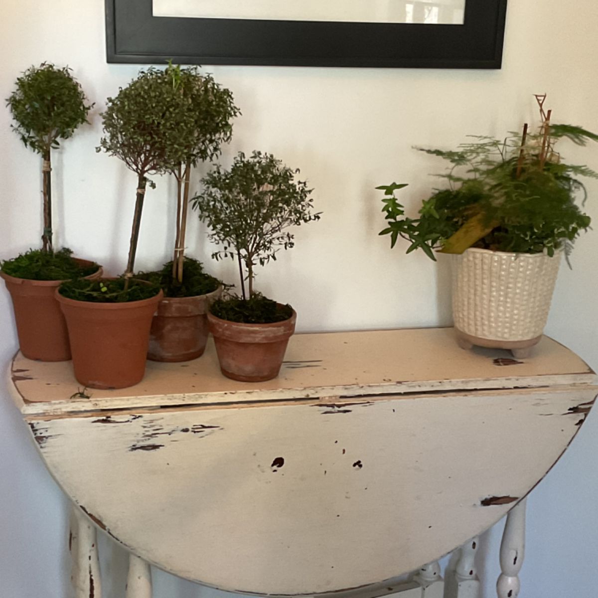 HILLTOP ESTATE SALES by Kathy & ValerieLAST DAY ! starts on 6/7/2024