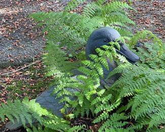Two Concrete Duck Statues