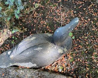 Two Concrete Duck Statues