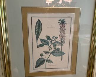 Pair of Framed Floral Prints