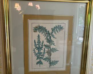 Pair of Framed Floral Prints