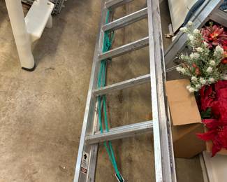 20' Werner ladder