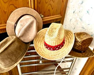 Men's hats