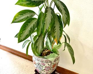 Live plants