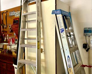 6' and 8' Werner ladders