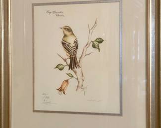 Bay Breasted Warbler Signed