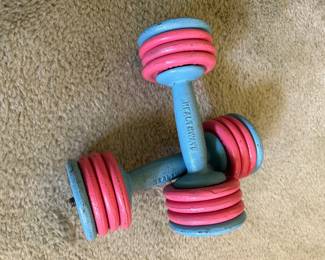 Vtg. Healthware weights