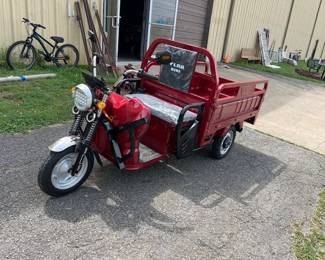 ELECTRIC TRIKE
