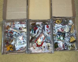 MPS085 Miscellaneous Lion's Club Pins