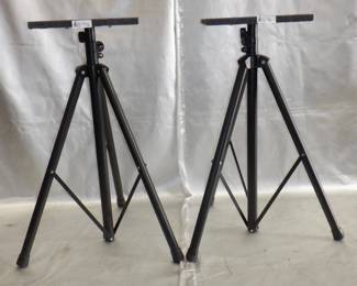 LOT OF 2 SPEAKER STANDS