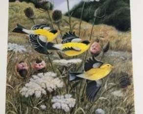 Signed John Ruthven Goldfinch Print 