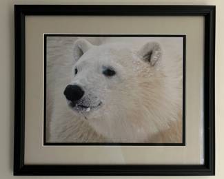 Framed photographs (unsigned)
