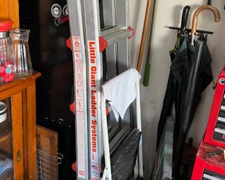 Little Giant folding ladder