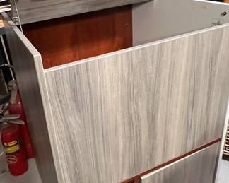 Out of Sight litterbox cabinet