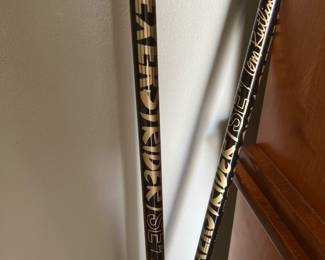 Exerstrider walking poles by Tom Rutlin Black and Gold