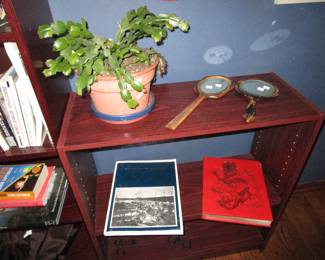 More books, shelving