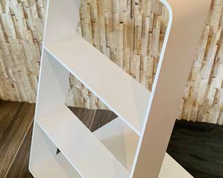 Modern library ladder