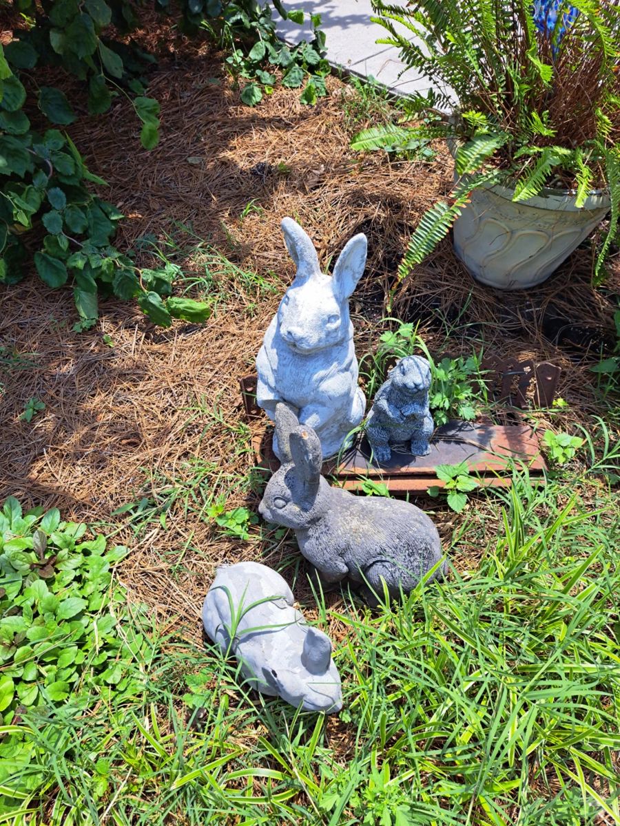 Peter RABBIT is here somewhere