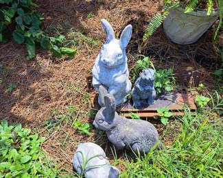 Peter RABBIT is here somewhere