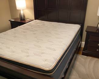 2023 Simmons Queen Dreampeace Mattress