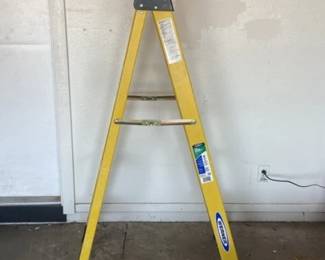 Werner 5 Foot Ladder