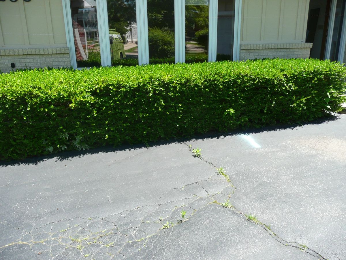 Western Springs 3,000+ S.F. House Demolition Sale starts on 6/22/2024