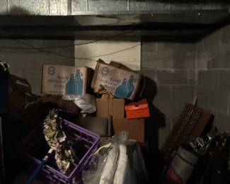 So many more treasures to reveal 