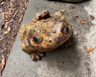Concrete Frog Mama and Baby $40