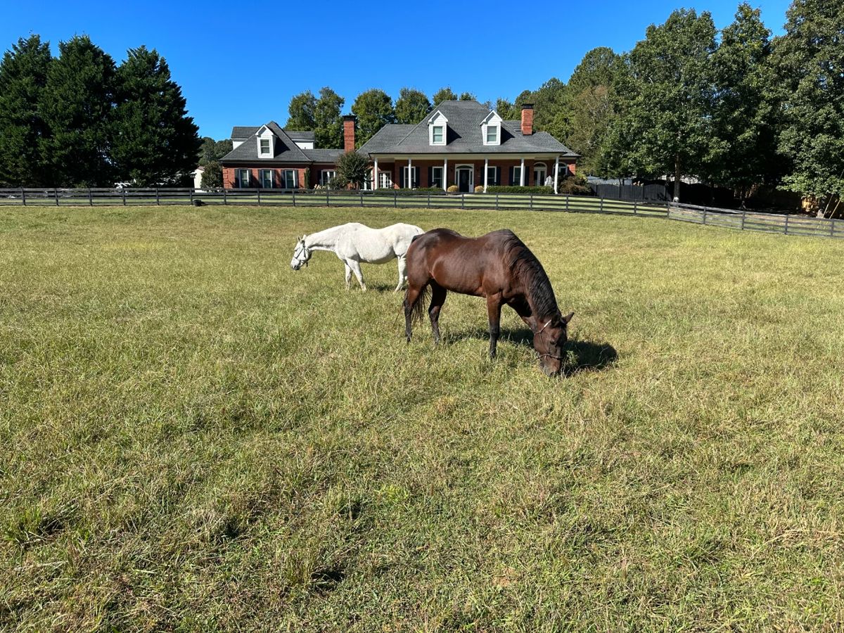 Estate Sale Bethelview Road Cumming GA starts on 6/7/2024