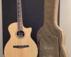Taylor 814ceN Nylon String Auditorium AcousticElectric Guitar