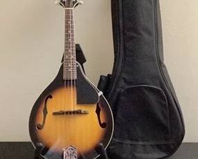 Fender CT100 Mandolin with Soft Case