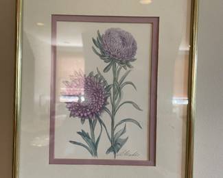 Vintage Thistle Framed Print Signed by Alanbee