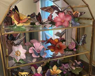 Franklin Mint Butterflies of the World Collection with Display Case