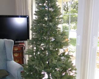 O' Christmas tree, O' Christmas tree, how proud and tall you stand!