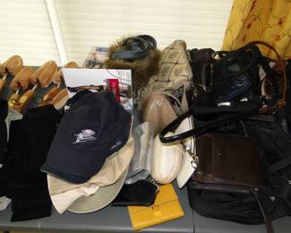 Purses, scarves, hats, and shoehorns