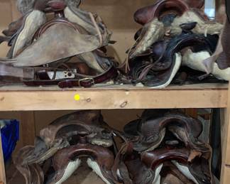 One saddle has been removed.