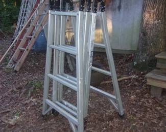 Folding Ladder