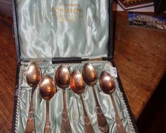 Collector Spoons in Case