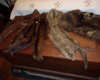 Mink/Fox Stoles