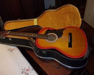 Guitar in Case