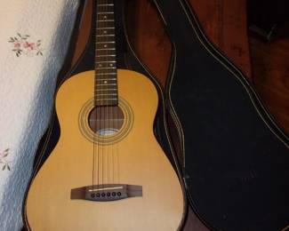 Guitar in Case