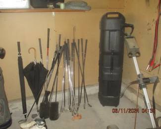 Golf clubs and storage cse
